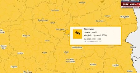 IMGW ostrzega przed silnym wiatrem w powiecie płockim. Porywy do 85 km/h