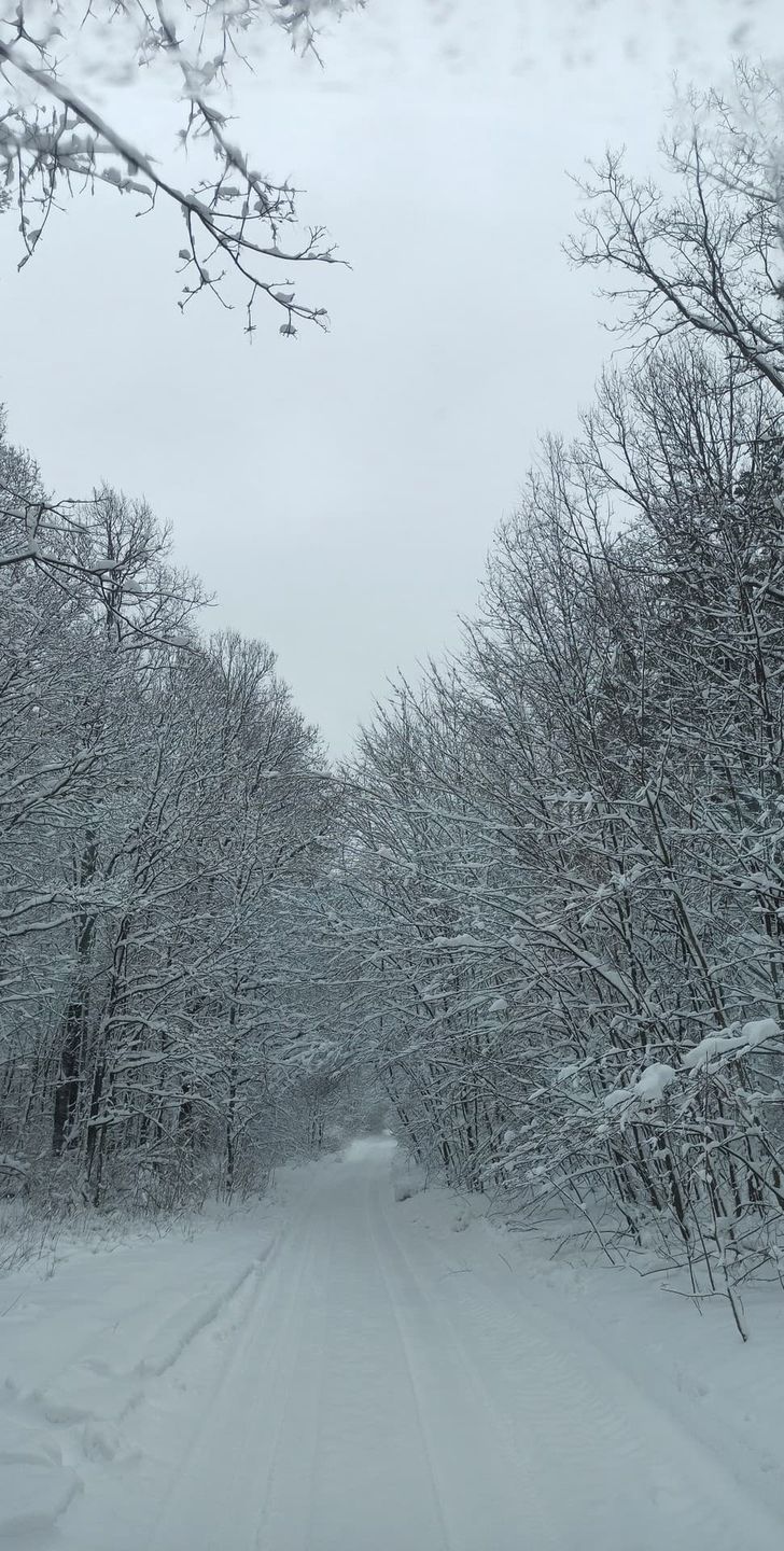 Opady śniegu na Podlasiu