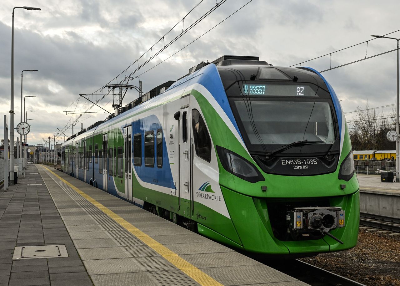 "Sterroryzował cały pociąg". Skandaliczny incydent