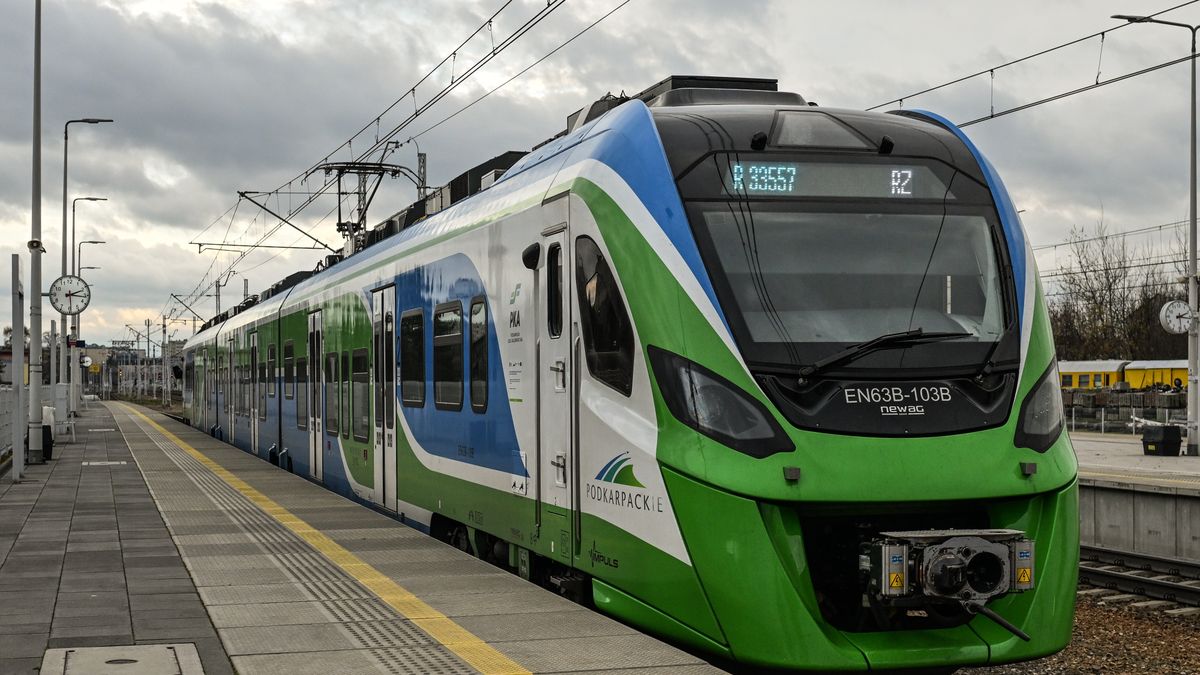 Skandaliczny incydent w pociągu.