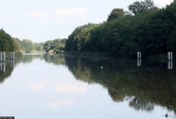 Z Odry wyłowiono 670 kg śniętych ryb. Pierwsze wyniki badań