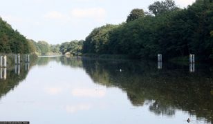 Z Odry wyłowiono 670 kg śniętych ryb. Pierwsze wyniki badań