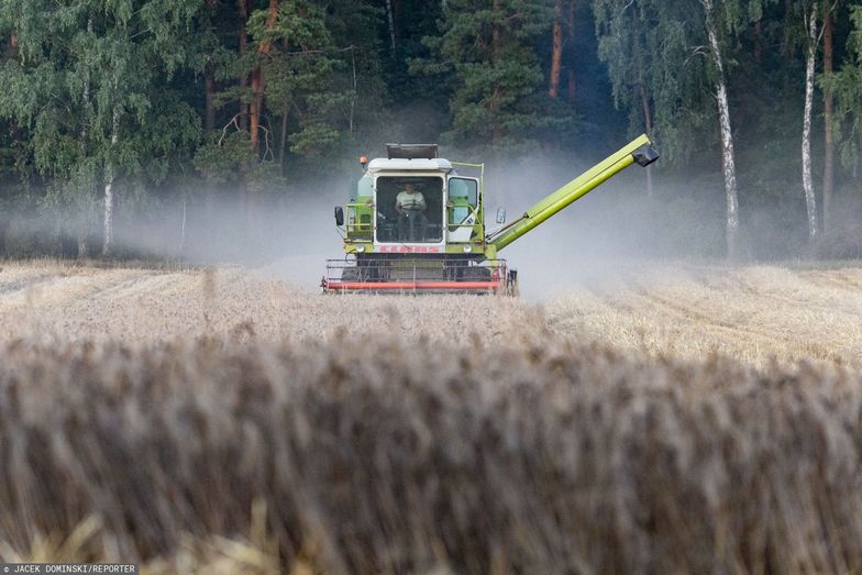 Ukraina sprzeciwia się zakazowi importu ukraińskiej produkcji rolnej do krajów UE  