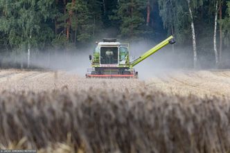 Zakaz importu zboża. Ukraina ostro reaguje