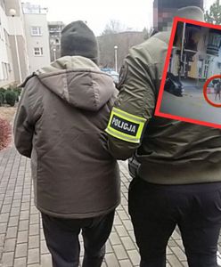 Potrącił pieszego i uciekł. 80-latek zatrzymany