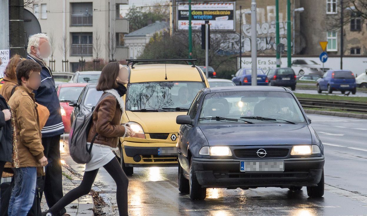 Rośnie odsetek potrąceń na przejściach dla pieszych. To zła prognoza przed zmianą przepisów w czerwcu