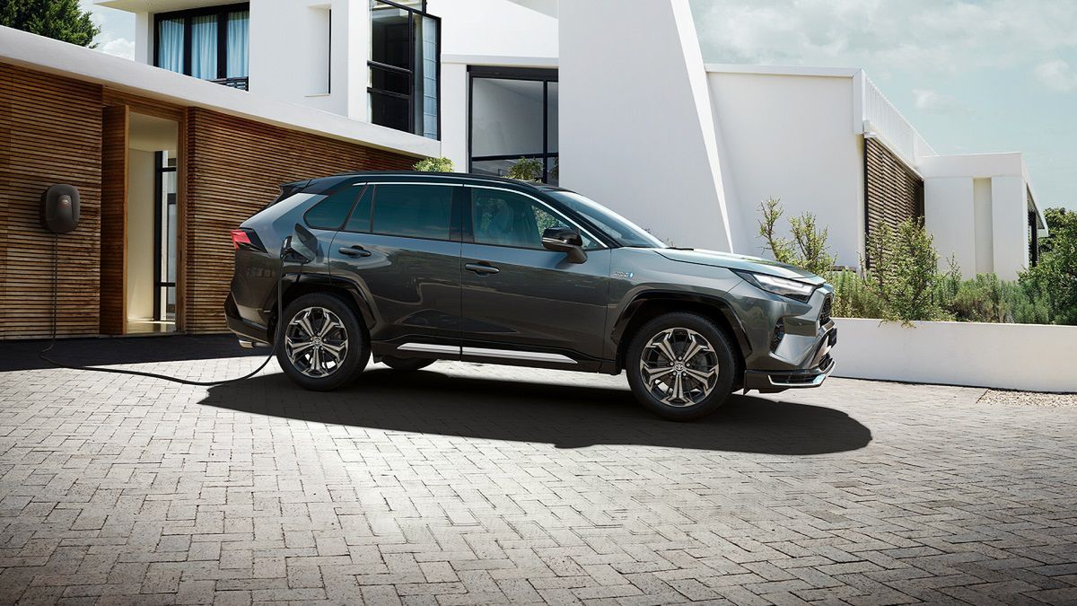 Zdjęcie ilustracyjne do artykułu