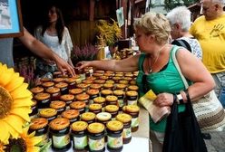 Ubiegły rok był fatalny dla producentów miodu. Teraz ma być lepiej