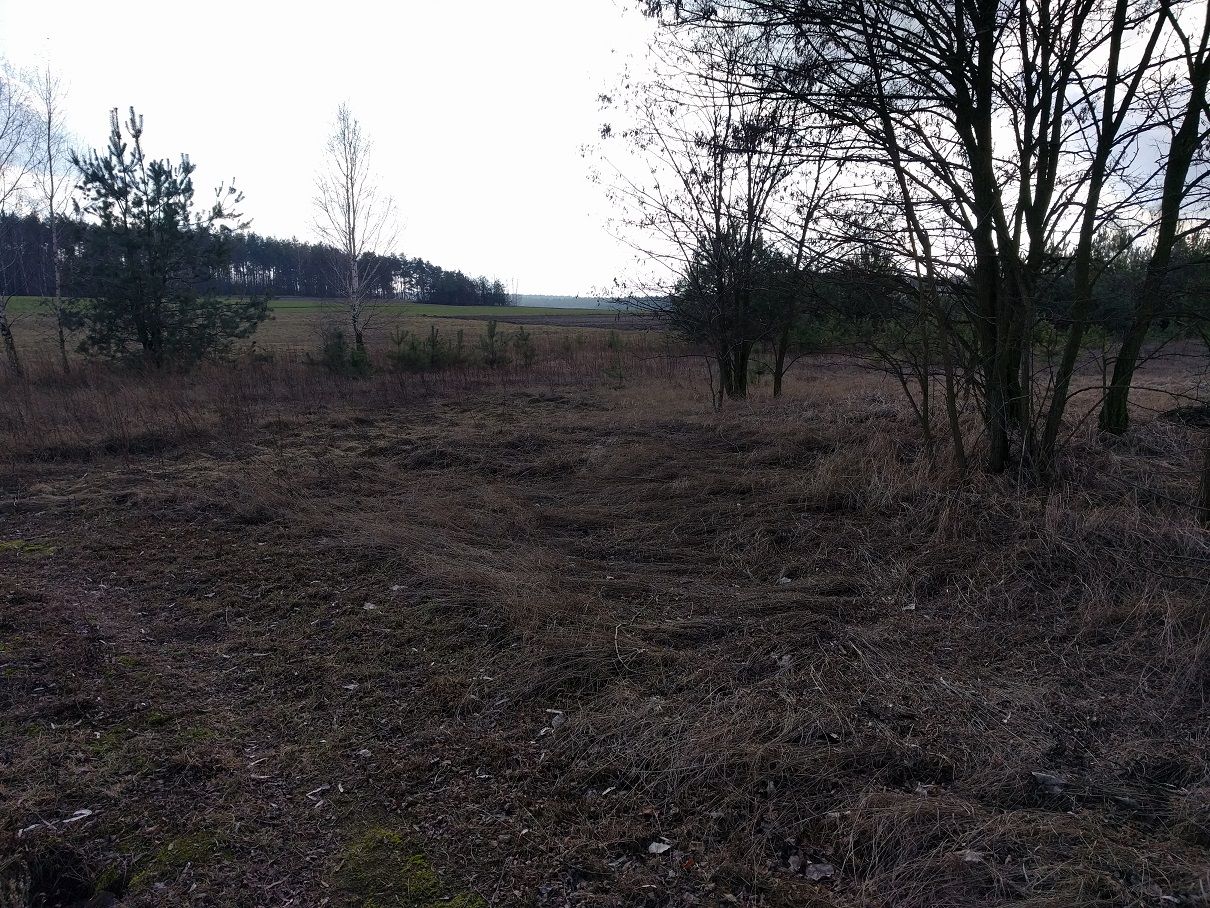LG Nexus 5X – test nieskalanego Androida w zbyt wysokiej cenie 12