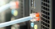 Szybkie i niedrogie: takie są polskie łącza internetowe, przynajmniej wg UKE