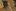 Nowa galeria z Wasteland 2
