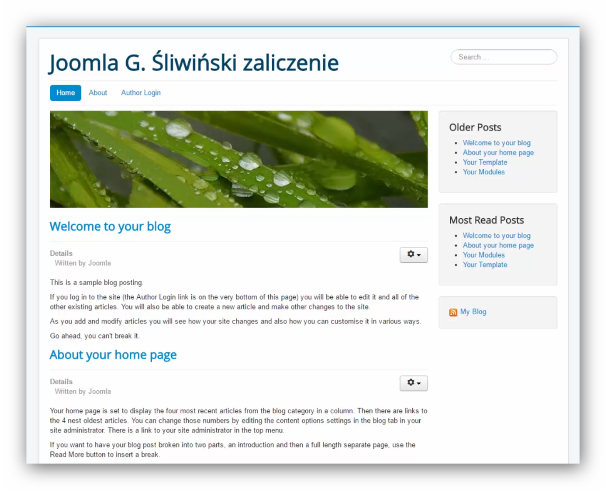 Działająca strona CMS Joomla