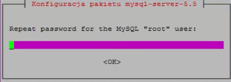 MySQL - okno interakcji.