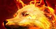 Firefox 39: płynniejsza praca na OS X i kolejne funkcje w Hello
