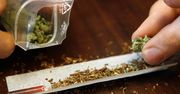 Marihuana jednak może mieć związek z twardymi narkotykami.
