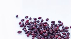 Działanie i zastosowanie chromu organicznego  