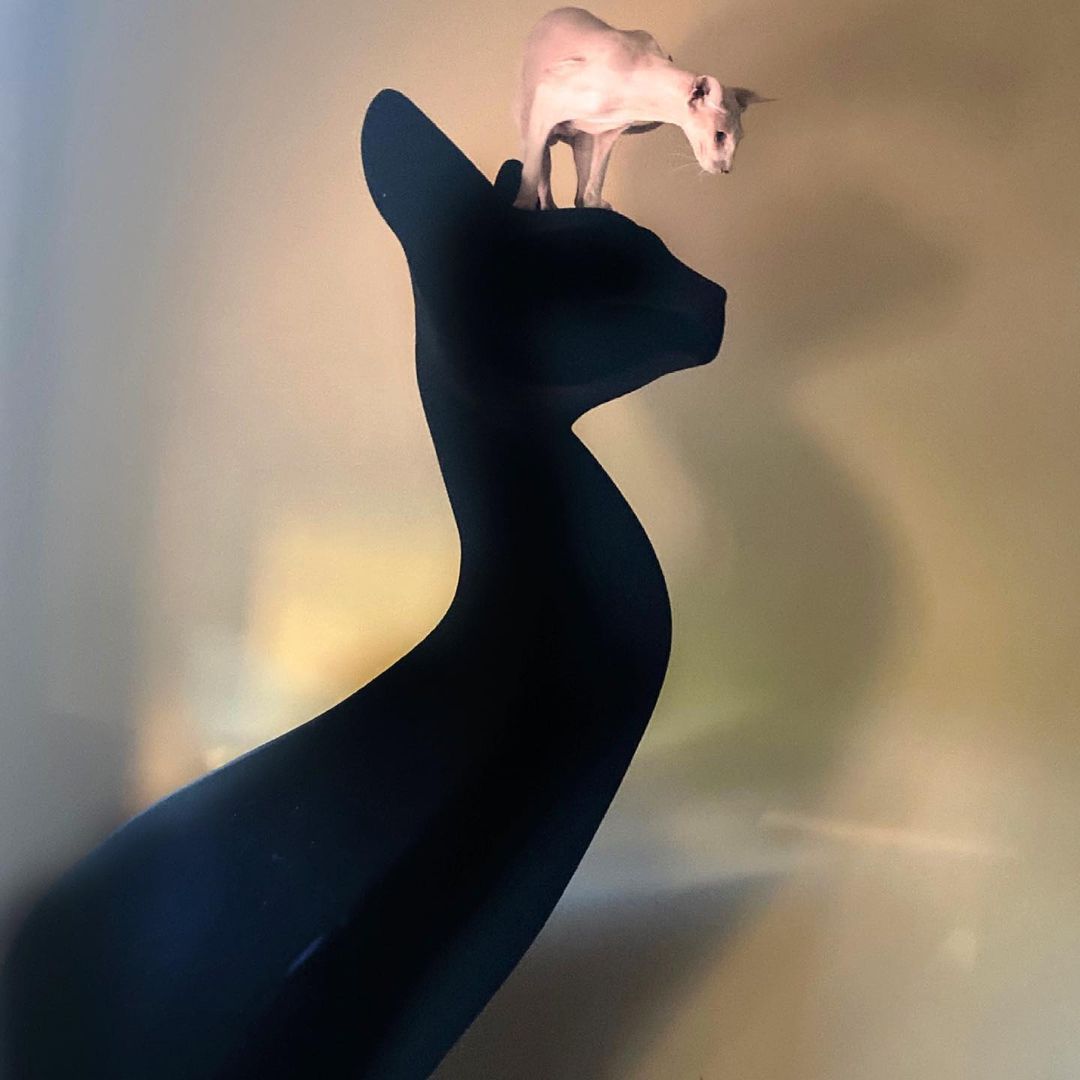 Jak mieszka Ewa Minge?