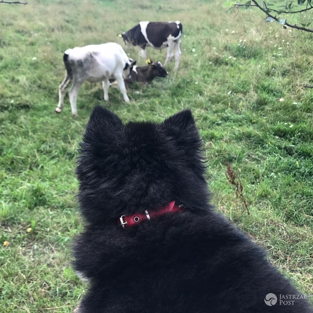 Kinga Rusin o Czarku Lisie