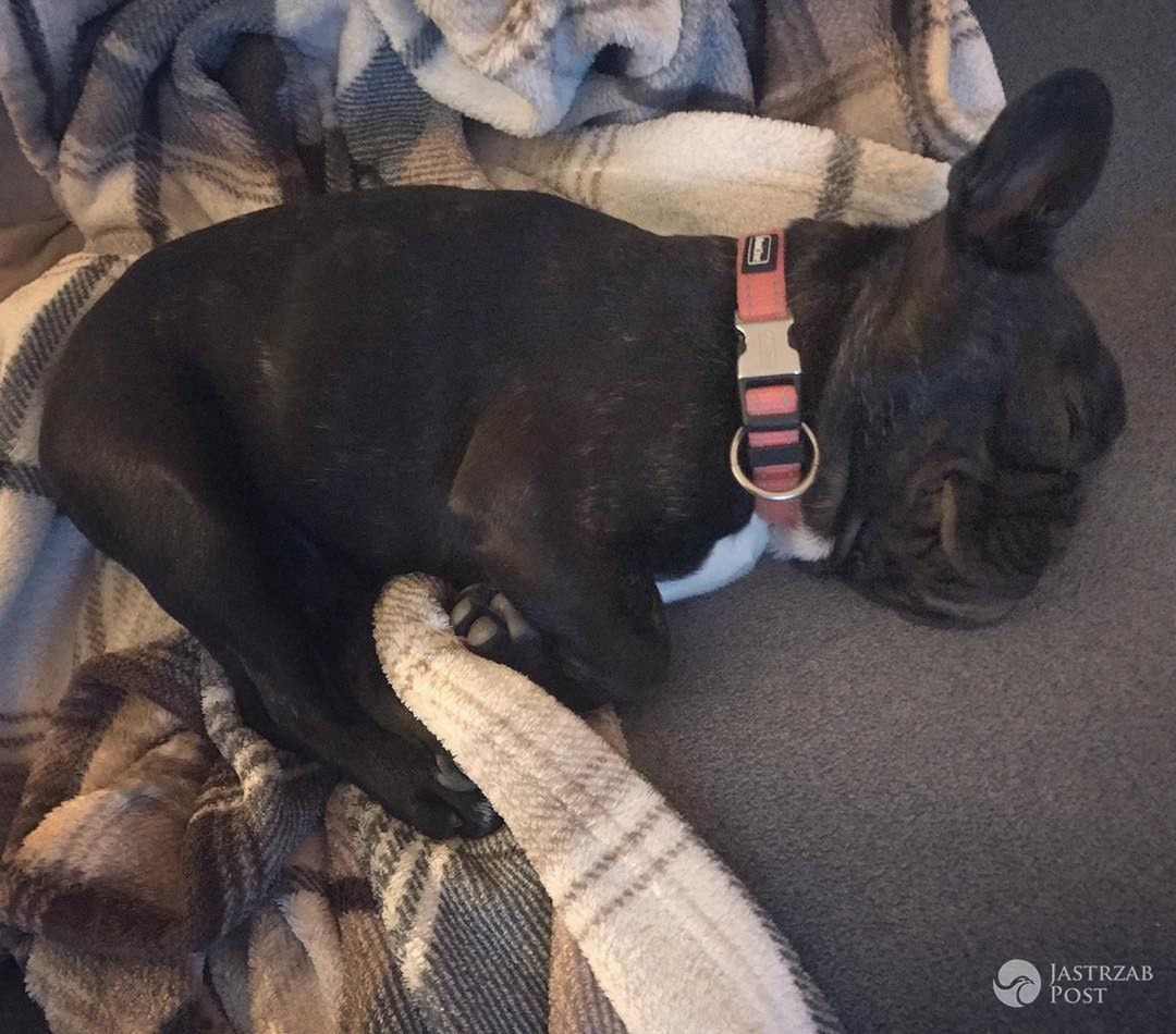 Maleństwo Oli Kwaśniewskiej