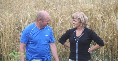 Grażyna z "Rolnik szuka żony": program nie przyniósł jej miłości, ale dał popularność