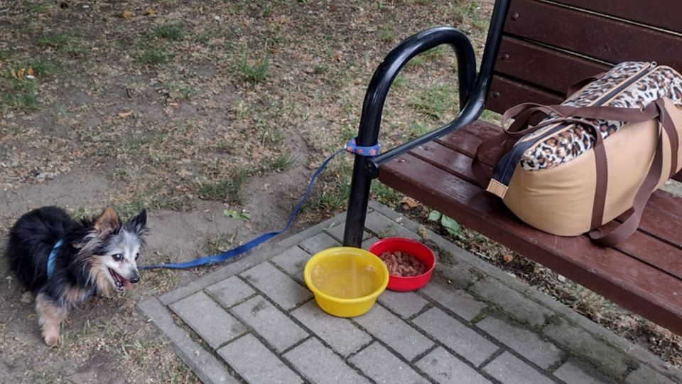 zdjęcie