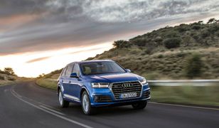 Kolejne silniki Volkswagena z oszukującym oprogramowaniem