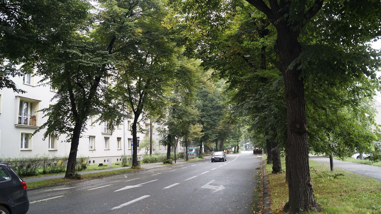 Gliwice. Zmiany w komunikacji autobusowej. Co się zmieni?