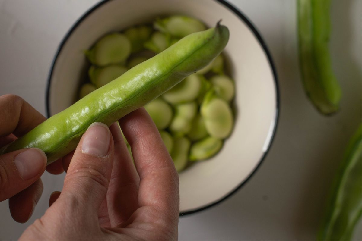 Broad beans are not only tasty but also healthy.