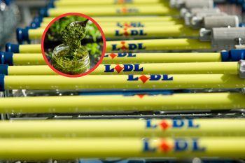 Wycofanie z Lidla. Podejrzenie jadu kiełbasianego w produkcie