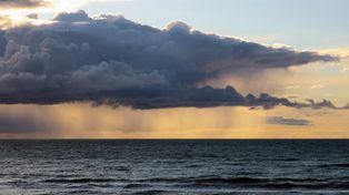 Rekord na Bałtyku. Najniższy wynik od 140 lat