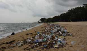 Wielka plama śmieci spędza sen z powiem ekologom