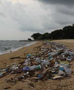 Wielka plama śmieci spędza sen z powiem ekologom
