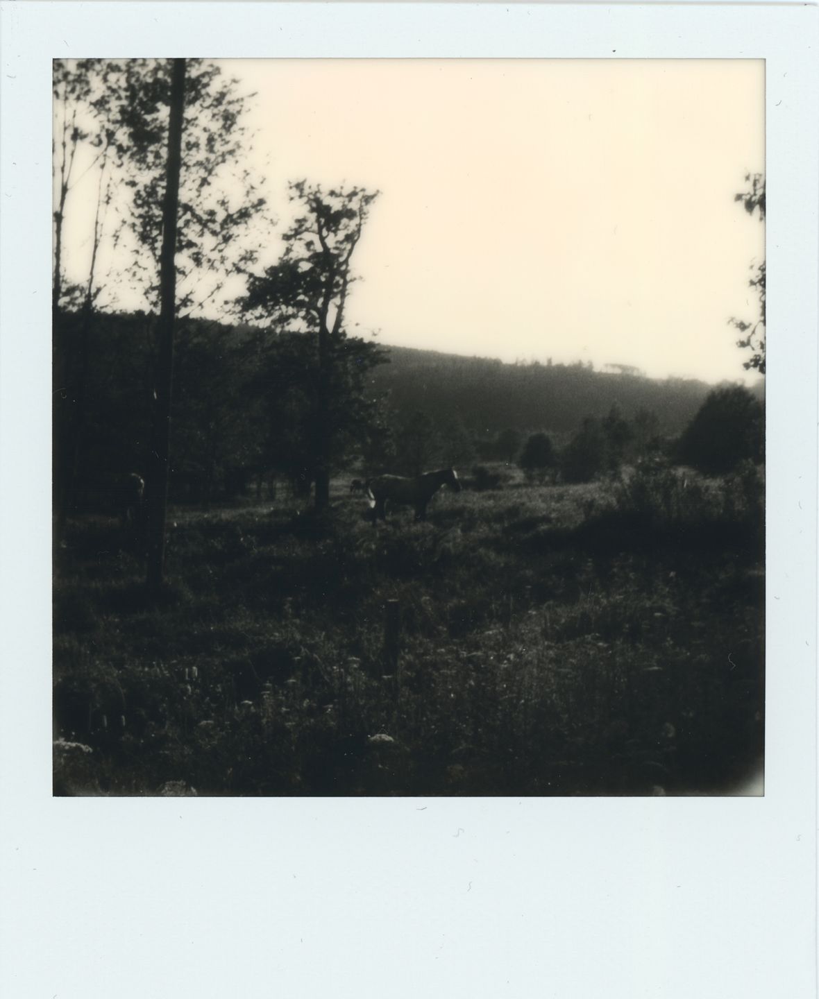 Impossible I-1 – czy współczesny Polaroid jest chociaż zbliżony do oryginałów? [test] 11