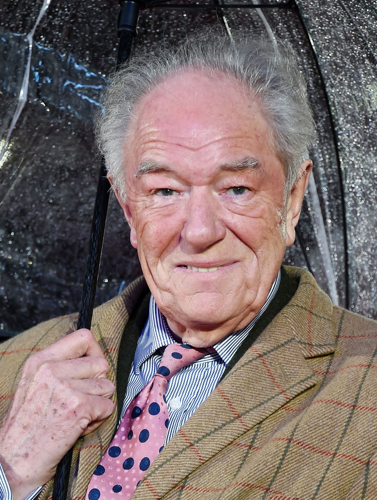 Michael Gambon has passed away. He played Dumbledore in the Harry Potter movies