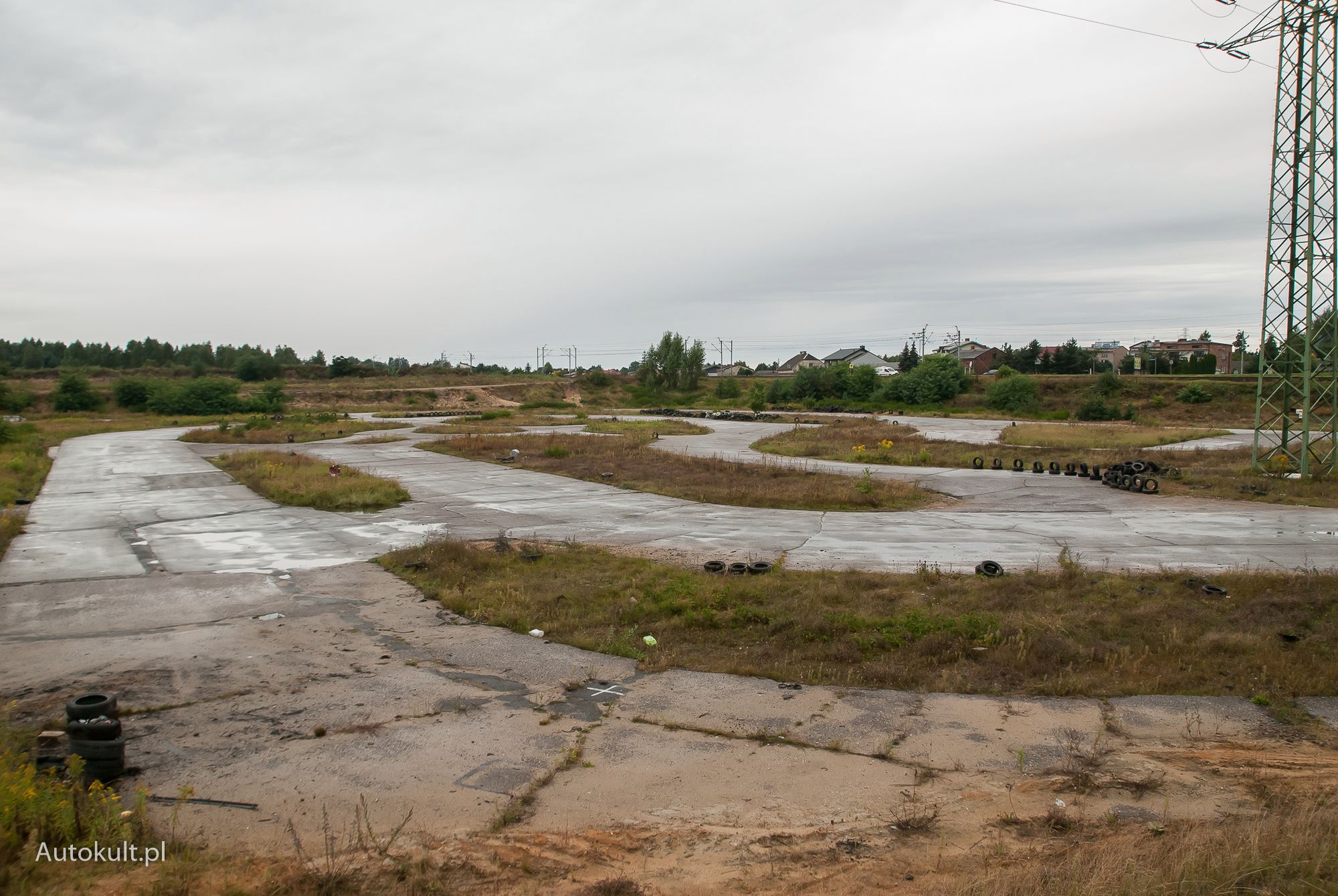 "Tor" Wyrazów dziś.