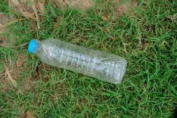 Połóż w ogrodzie. Po mrówkach nie zostanie ślad