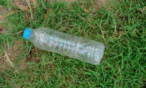 Połóż w ogrodzie. Po mrówkach nie zostanie ślad