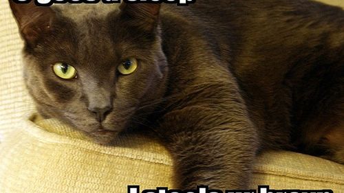 Prawie 3 GB prywatnych danych z Facebooka wyciekło na Torrenta - Twoje też? 1