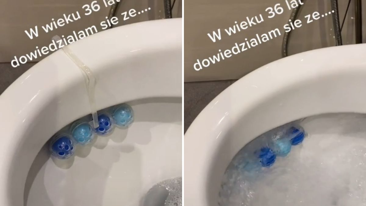 Jak założyć zawieszkę do toalety