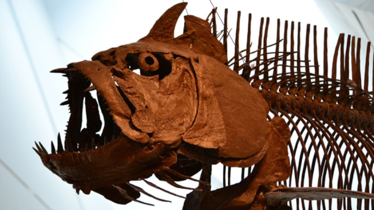 Prehistoryczna ryba.