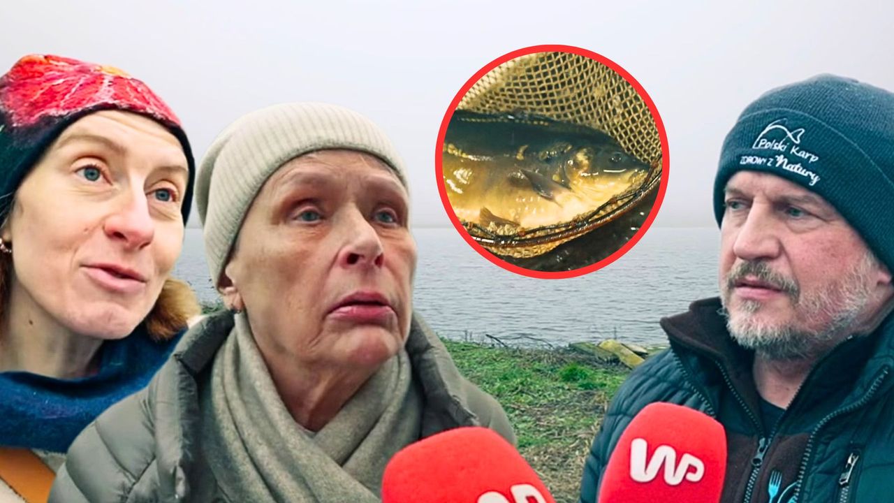 Karp knyszyński z Podlasia. Jest wyjątkowy, inny niż wszystkie