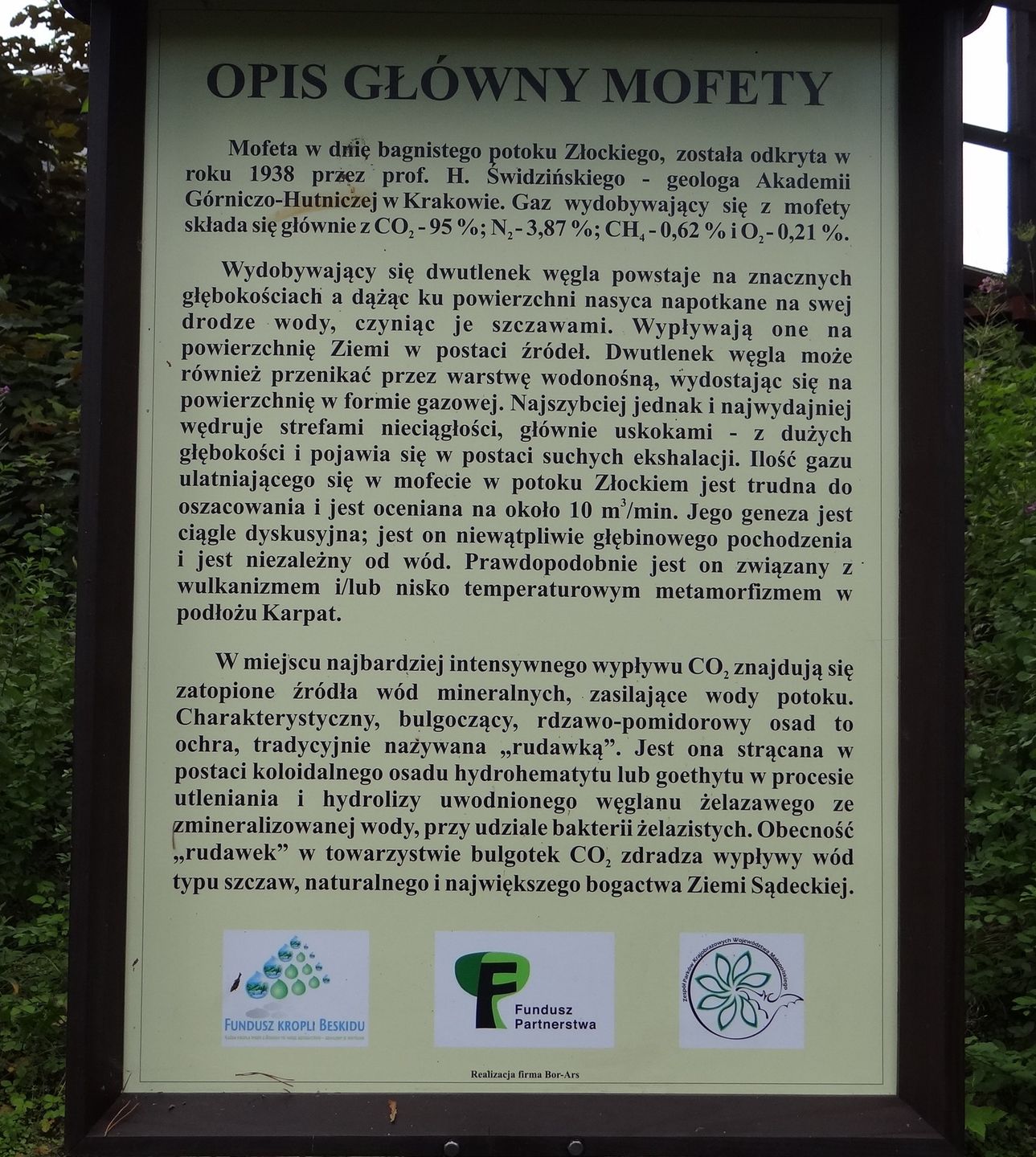Mofeta w Jastrzębiku
