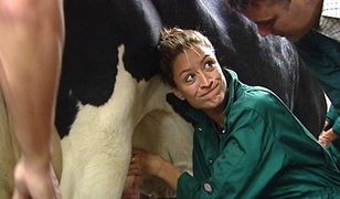 "Farma" w polskiej TV. Polsat wkracza na pole minowe