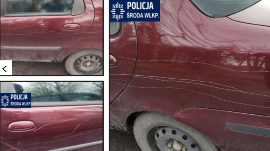 policja