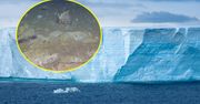 Odkrycie na Antarktydzie. Tajemnicze wzory na dnie morza