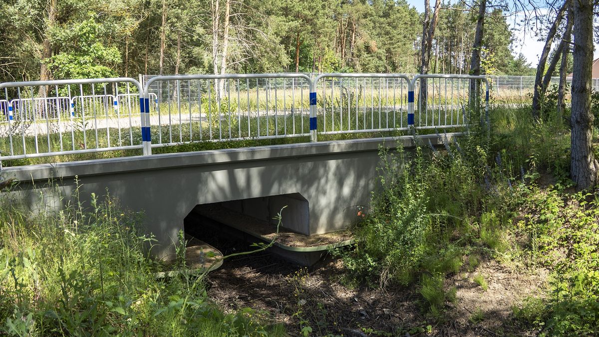 Przepust dla gadów w Motylewie
