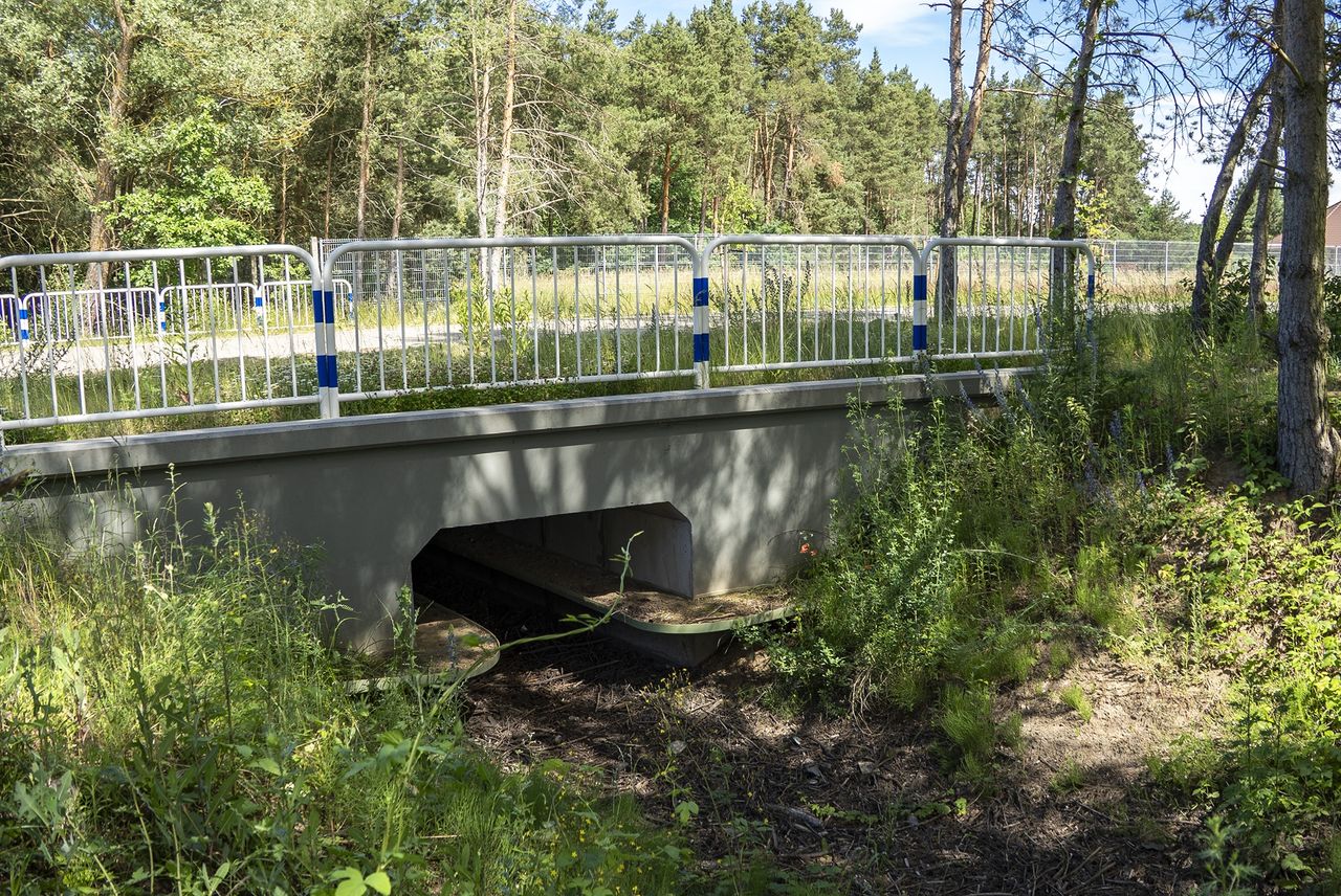 W Pile powstało nietypowe przejście dla zwierząt. Znajduje się na Motylewie