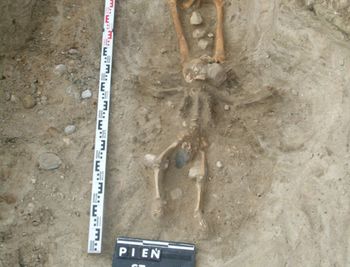 Niecodzienne groby w Pniu. Odrzuceni i podejrzani o wampiryzm