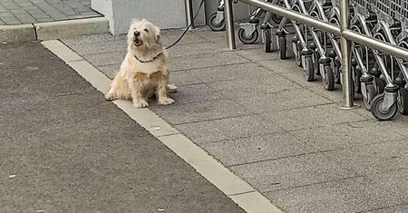 Zakazane przed sklepem. Przyłapani zapłacą 1000 zł