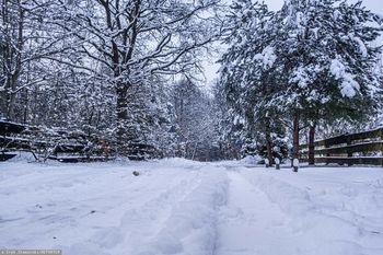 Ekstremalne mrozy. Zimniej niż na Antarktydzie